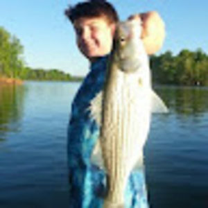 Meet your Posher, Benji